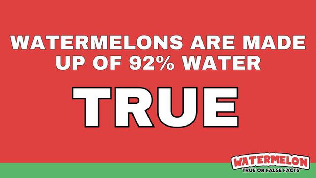 Watermelon True or False Facts image number null